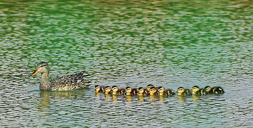 动作射击游戏《超光速计划》新预告 2月14日发售